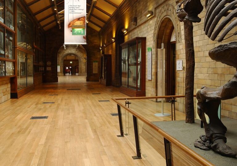 natural history musuem Portobello floors 4